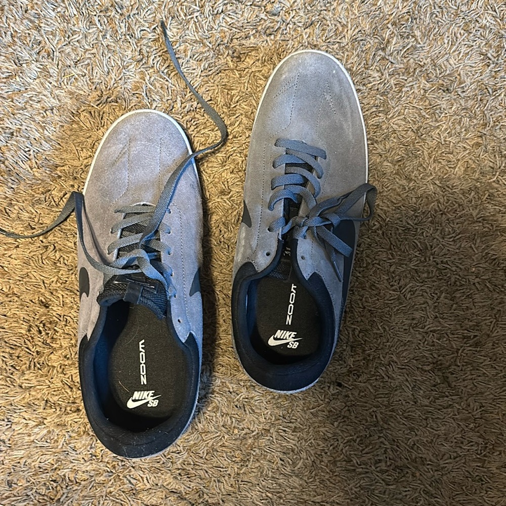 Nike sb low top